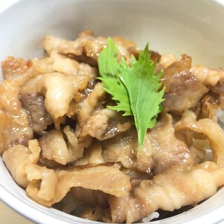 つゆだくでおいしいジューシー豚丼